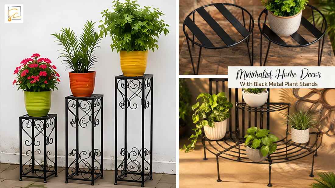 Minimalist Home Decor with Black Metal Plant Stands